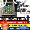 Gudang Rumput Sintetis Baruppu.jpg