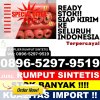 Jual Rumput Imitasi Sukahening.jpg