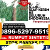 Distributor Rumput Imitasi Long Pahangai.jpg