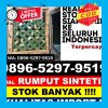 Distributor Rumput Plastik Bahar Selatan.jpg