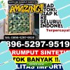 Gudang Rumput Sintetis Batujaya.jpg