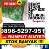 Pusat Rumput Imitasi Kabupaten Jeneponto.jpg