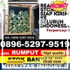 Agen Rumput Palsu Abung Semuli.jpg