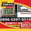 Grosir Rumput Imitasi Cipunagara.jpg