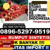 Grosir Rumput Sintetis Sekaran.jpg