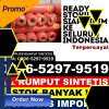 Jual Rumput Imitasi Sungai Mandau.jpg