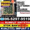 Agen Rumput Palsu Ajibata.jpg