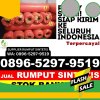 Jual Rumput Plastik V Koto Kp Dalam.jpg