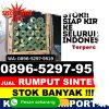 Gudang Rumput Sintetis Benowo.jpg