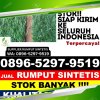 Distributor Rumput Imitasi Manisrenggo.jpg