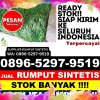 Pusat Rumput Imitasi Kabupaten Mesuji.jpg