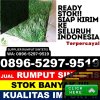 Penjual Rumput Plastik Kabupaten Sumenep.jpg