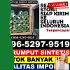 Grosir Rumput Imitasi Darul Hasanah.jpg