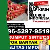 Penjual Rumput Imitasi Sejangkung.jpg