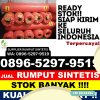 Grosir Rumput Sintetis Senori.jpg