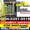 Distributor Rumput Plastik Banyuglugur.jpg