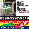 Pusat Rumput Plastik Dawe.jpg