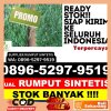 Agen Rumput Plastik Manggala.jpg