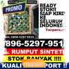 Gudang Rumput Sintetis Bogor Timur.jpg