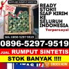 Distributor Rumput Plastik Bassesangtempe.jpg