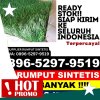 Grosir Rumput Imitasi Dukuhseti.jpg