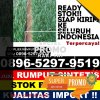 Distributor Rumput Imitasi Megang Sakti.jpg