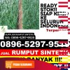 Agen Rumput Plastik Maros Baru.jpg