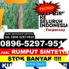 Gudang Rumput Palsu Lubuk Alung.jpg