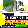 Pusat Rumput Imitasi Kalianget.jpg