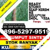 Agen Rumput Plastik Medan Helvetia.jpg