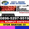 Jual Rumput Imitasi Tapin Tengah.jpg