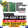 Gudang Rumput Palsu Lut Tawar.jpg