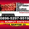 Penjual Rumput Imitasi Sigaluh.jpg