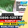 Penjual Rumput Plastik Karawang Timur.jpg