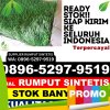 Grosir Rumput Imitasi Gondanglegi.jpg