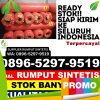 Penjual Rumput Imitasi Simpang.jpg