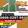 Distributor Rumput Imitasi Muara Padang.jpg