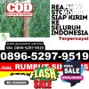 Agen Rumput Plastik Mojoagung.jpg