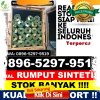 Distributor Rumput Plastik Bojong.jpg