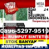 Agen Rumput Plastik Muara Batang Toru.jpg