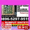 Distributor Rumput Plastik Bontomatene.jpg