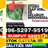 Grosir Rumput Imitasi Huta Raja Tinggi.jpg