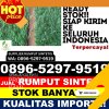 Agen Rumput Plastik Muara Tiga.jpg