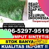 Pusat Rumput Imitasi Kelara.jpg