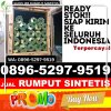 Agen Rumput Palsu Belakang Padang.jpg