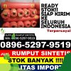 Penjual Rumput Imitasi Suka Makmue.jpg