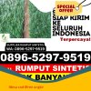 Agen Rumput Plastik Namohalu Esiwa.jpg