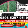 Penjual Rumput Plastik Kepung.jpg