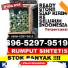 Agen Rumput Palsu Bengkunat Belimbing.jpg