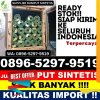 Gudang Rumput Sintetis Cisaga.jpg